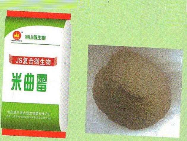 點擊查看詳細信息<br>標題：米曲霉 閱讀次數：2181